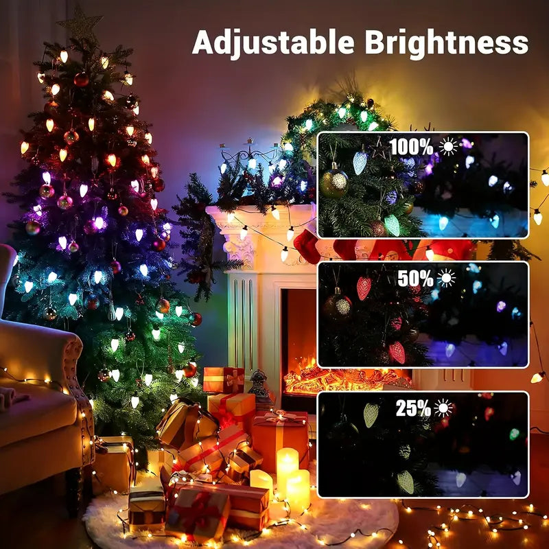 Smart C9 Led Christmas Lights App Programmable, RGB Color Changing, Dimmable