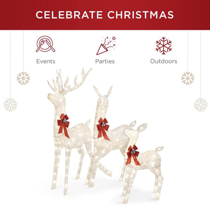 3-Piece Large Lighted Christmas Deer Family Set